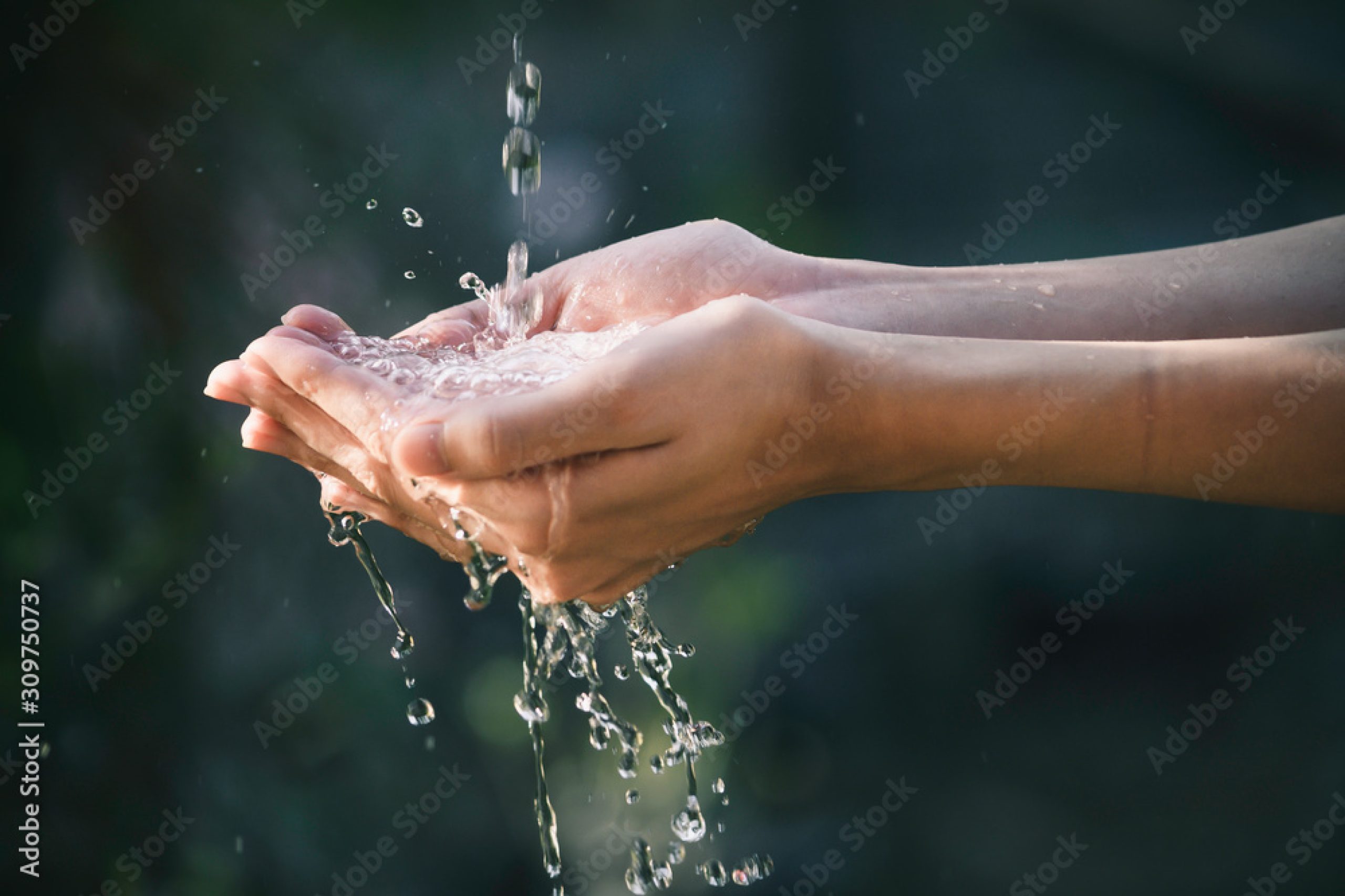 AdobeStock_309750737_Preview